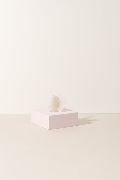 Sale - The Butterfly Collection
