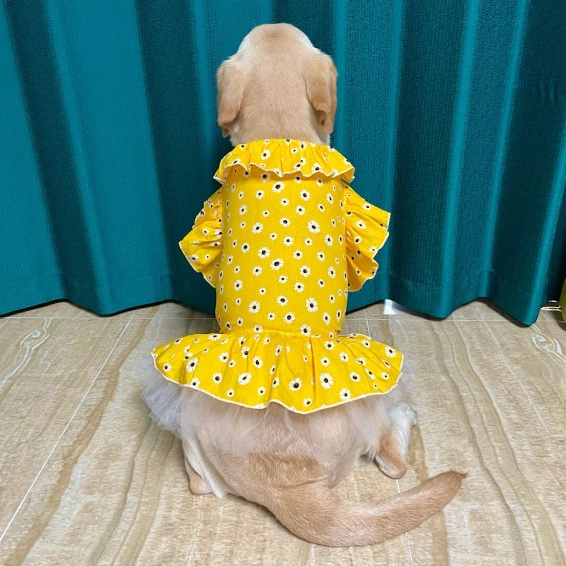 Bella Dress