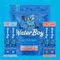 Water Boy Weekend Recovery - 12ct Sample