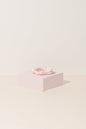 Sale - Slim Silk Scrunchie