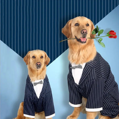 Daddy’s Boy Suit