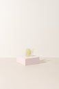 Sale - The Butterfly Collection