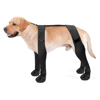 Dog Boots