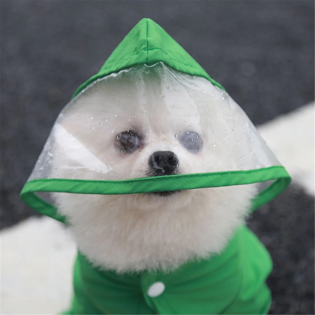 Canada Raincoat