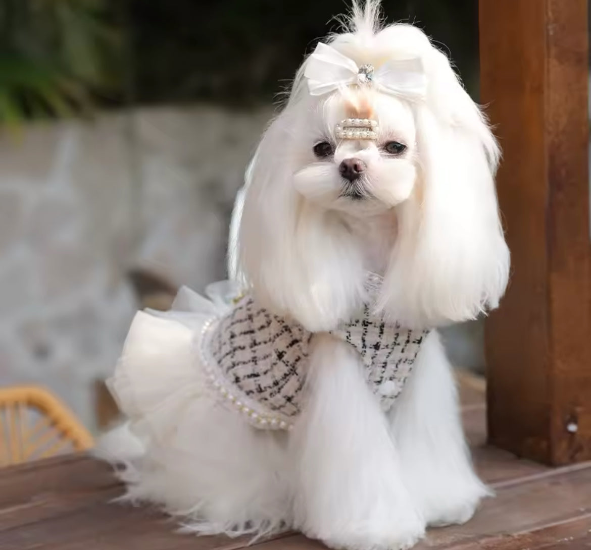 Coco Chewnel Dress – Luxury Tweed Dog Dress