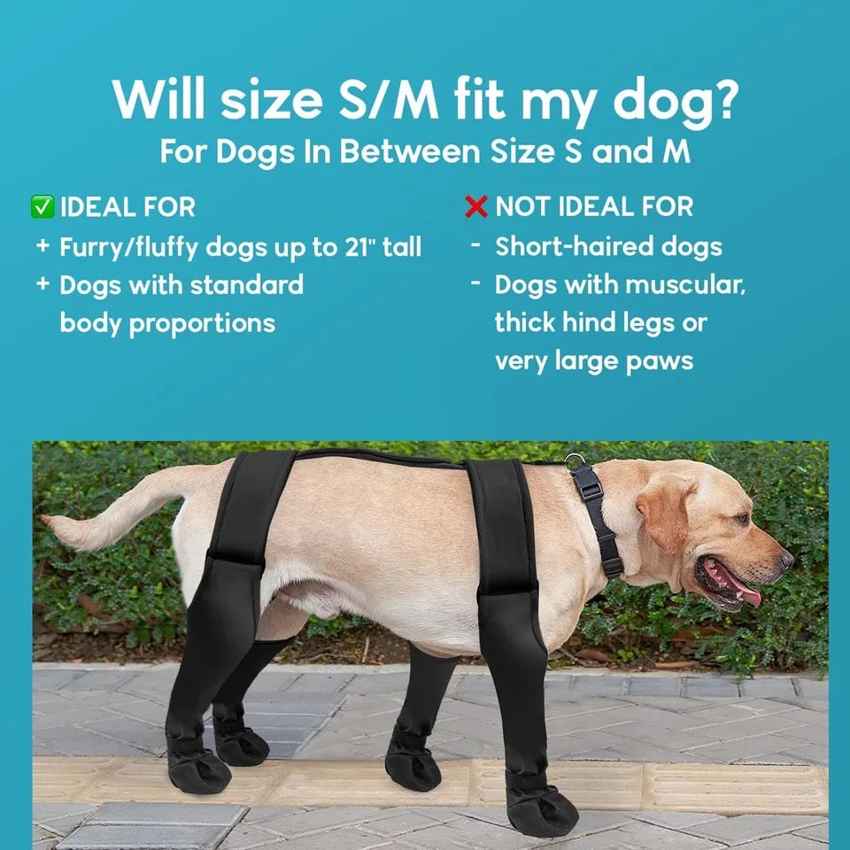 Dog Boots