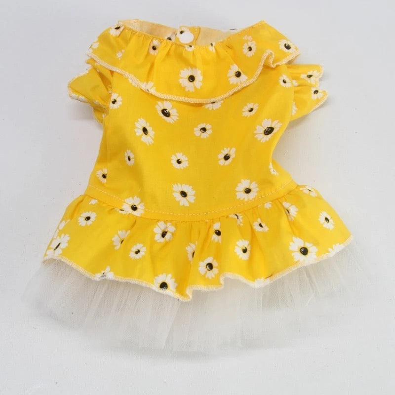 Bella Dress