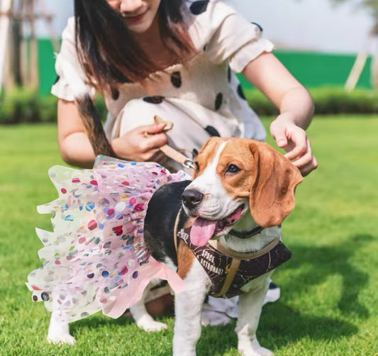 Princess Doggy Tutu – Luxury Tulle Dress for Dogs