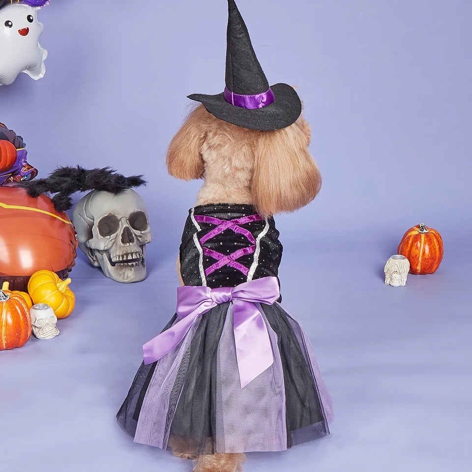 Witch Hat Dog Dress | Halloween Costume