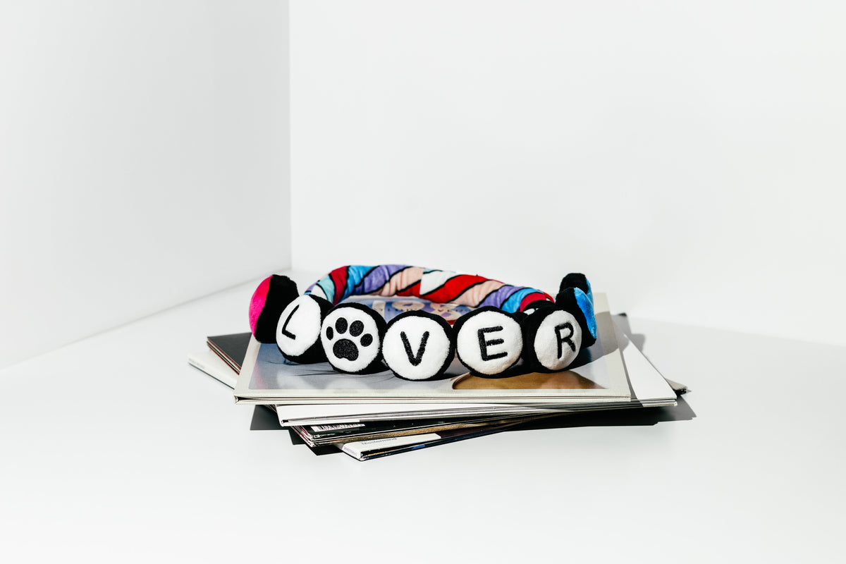 NEW LIMITED EDITION Pawty Animals Eco-Friendly Lover Friendship Bracelet - Rope Dog Toy