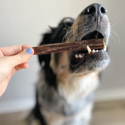 6 Inch Beef Jerky Stick