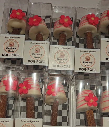 Dog Pops for Dogs 🍭🐾