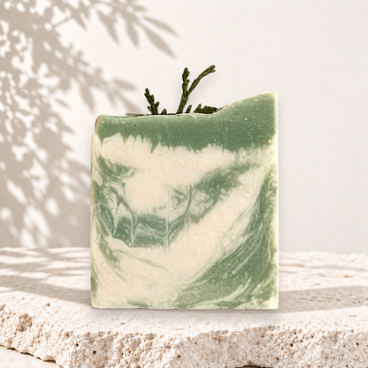 Savon au lait de chèvre WILSON bois nordiques